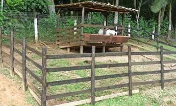 Imagem 5: CHACARA COM 2 CASAS EM SÃO JOSÉ