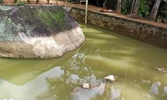 Imagem 6: CHACARA COM 2 CASAS EM SÃO JOSÉ