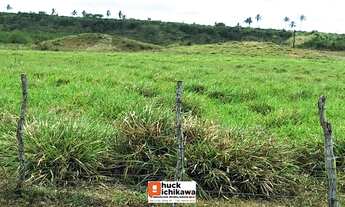 Imagem 4: Fazenda de 720 Tarefas!