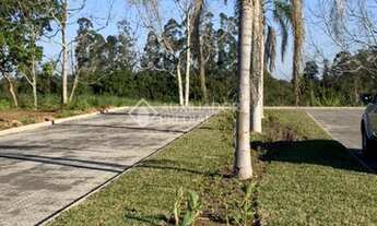 Imagem 5: COLINAS - Terreno Padrão - Centro