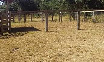 Imagem 5: Fazenda para venda com 98 alqueires em Barra dos Garças -Mt