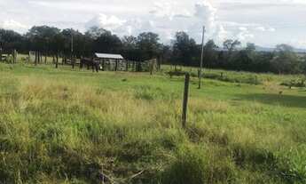 Imagem 6: Fazenda de 18.5 Alqueires no município de fazenda nova