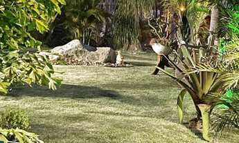 Imagem 7: Casa de condomínio para venda tem 800 metros quadrados com 4 quartos em Santa Cândida - Vi