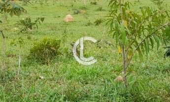 Imagem 7: CHÁCARA A VENDA