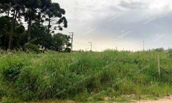 Imagem 1: Excelente Chácara Sem Benfeitorias