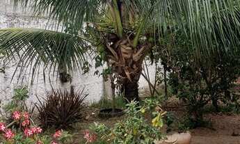 Imagem 3: Casa para venda com 3 quartos em Sernamby - São Mateus - ES