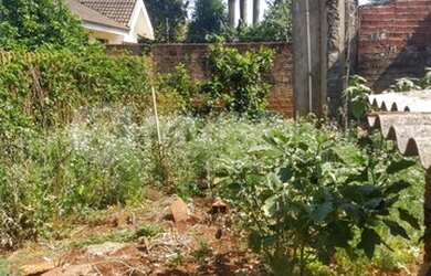 Imagem 7: Maringá - Terreno Padrão - Vila Morangueira