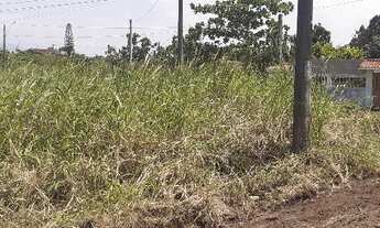 Imagem 4: Terreno Peruibe Balneario São Jose