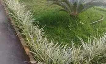 Imagem 5: SALA COMERCIAL no CENTRO com 0 quartos para LOCAÇÃO, 15 m²