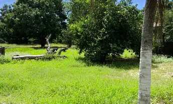 Imagem 2: Fazenda/Sítio/Chácara para venda tem 2565 metros quadrados com 3 quartos