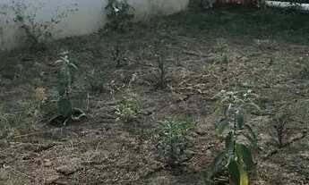 Imagem 4: Casa Nova Financiada Polocentro Anápolis