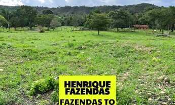 Imagem 7: Fazenda região central do Estado pecuária