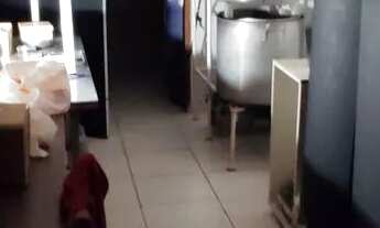 Imagem 7: Pub, bar, cervejaria microcervejaria brewoub