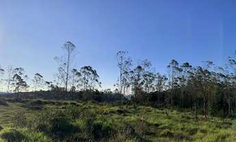 Imagem 4: Vende-se 800 metros para chacara