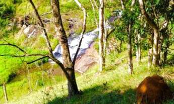 Imagem 3: Lote/Terreno para venda tem 600 metros quadrados em Cachoeira - Santa Isabel - SP