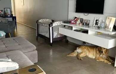 Imagem 4: São Paulo - Casa Padrão - Tatuapé