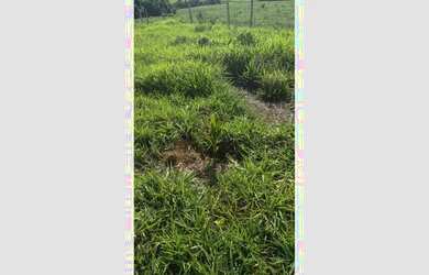 Imagem 4: Ótima chácara para lazer!... ABAIXOU O PREÇO !