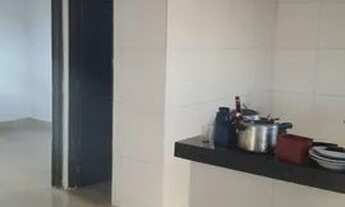 Imagem 3: Chácara top em goianira