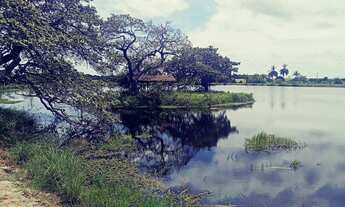 Imagem 2: Vendo Terreno Na Pindoretama Com 20 Hectares E Açude Dentro Vem Terreno Muito Bom. : Isaí