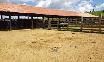 Imagem: Fazenda/Sítio/Chácara para venda tem 48000