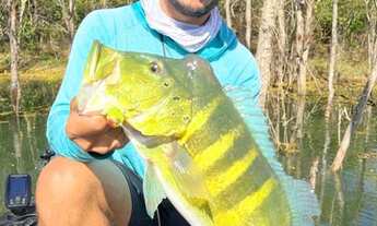 Imagem 7: LOTES NA MARGEM DA SERRA DA MESA