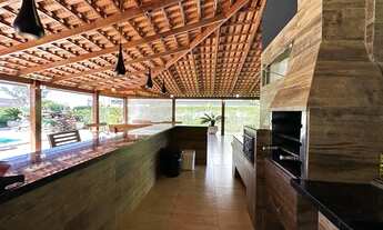 Imagem 5: HIDROLÂNDIA - Terra do Boi