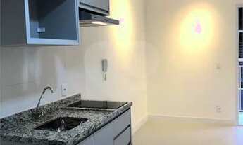 Imagem 5: Apartamento Liberdade 1 dormitório