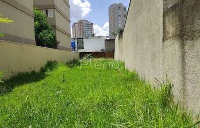 Imagem 2: Terreno - Cambuí - Campinas