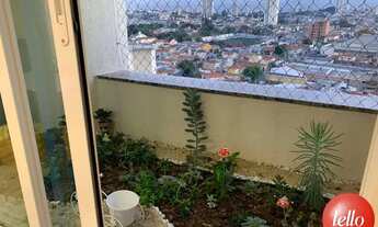 Imagem 6: São Paulo - Apartamento Padrão - Tatuapé