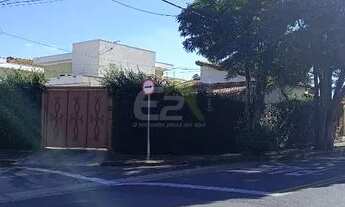 Imagem 3: Locação de Casas / Padrão na cidade de São Carlos