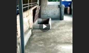 Imagem: Casa a venda