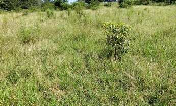 Imagem 4: Ecelente. Chavara 7 alqueres