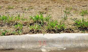 Imagem 3: Reserva Ipanema - fase 2