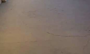 Imagem 5: Casa comercial na boa vista 10 salas 300 m2