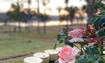 Imagem 6: LOTES NA MARGEM DA SERRA DA MESA