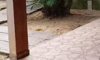 Imagem 2: Vende-se ou aluga-se