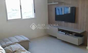 Imagem 4: Apartamento 3 quartos no Bairro Dr. Campos Velho