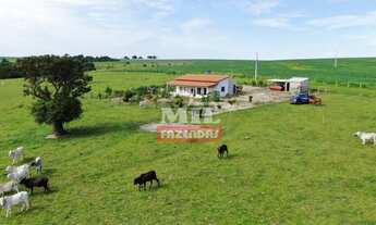 Imagem: Chácara de 15,5 alqueires (75 hectares)