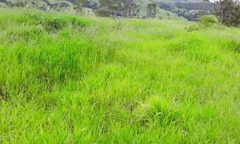 Imagem 5: Fazenda Cocalzinho de Goias com 159