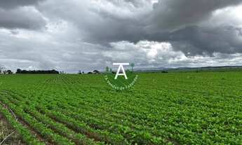 Imagem: Fazenda de 41,5 alq na soja