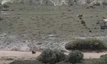 Imagem 5: Oportunidade no Conde: 04 Lotes Individuais (R$ 50,0/m²) - Próximo à Barra do Itariri