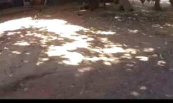 Imagem 2: Casa Casa com 4 dormitórios