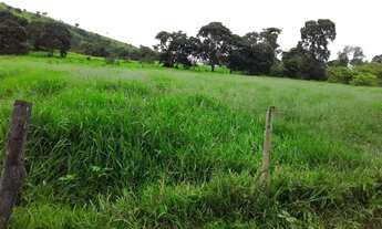 Imagem 6: Fazenda Cocalzinho de Goias com 159