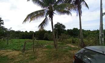 Imagem: Black Sitio em Xuri em Vila, parcelo, troco