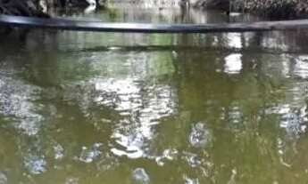 Imagem 2: Sitio Chácara com venda por R$250.000