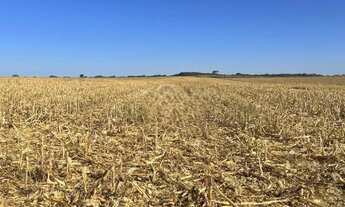 Imagem: R$125Milhoes. Fazenda 329 alqueires em Quirinópolis