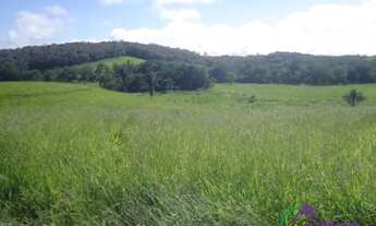 Imagem 4: AREA - PARQUE SANTA ROSA - SP