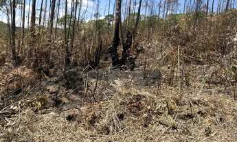 Imagem 2: Terreno de 500m² à Venda em Ibiúna com Preço Promocional