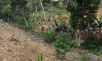 Imagem 7: Vendo sitio15.000m² valor 79.999