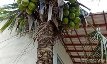 Imagem: VENDO OTIMA CASA EM CARAPEBUS, BAIRRO NOVO